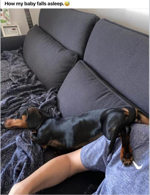 Banana 🍌 Gold Rush  🏆💰🌟. Week 3 - So tired... but going to wake when you move away