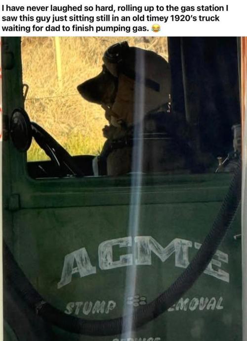 Runtz Mintz Cream by SnowShoe Joe. Week 14 - Him and his buddy out for a drive.