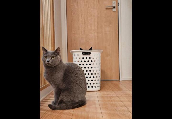 M.A.C.-Sensible Seeds-Premium Selection. Week 13 - Peek-a boo. I see you.