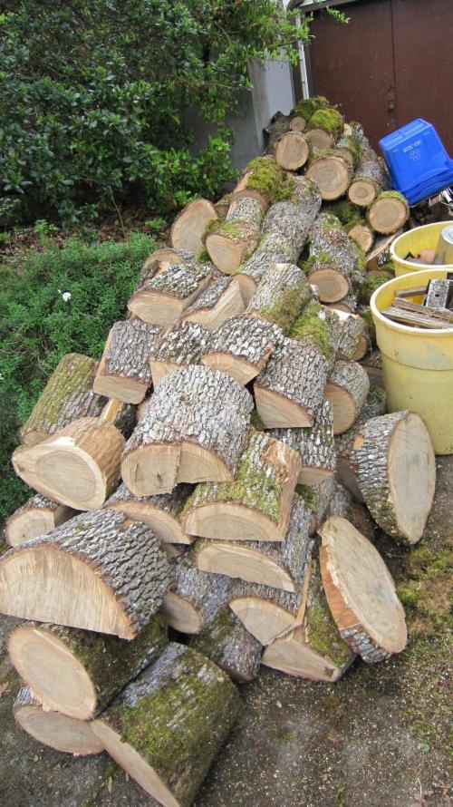M.A.C.-Sensible Seeds-Premium Selection. Week 20 - Wood splitting season 