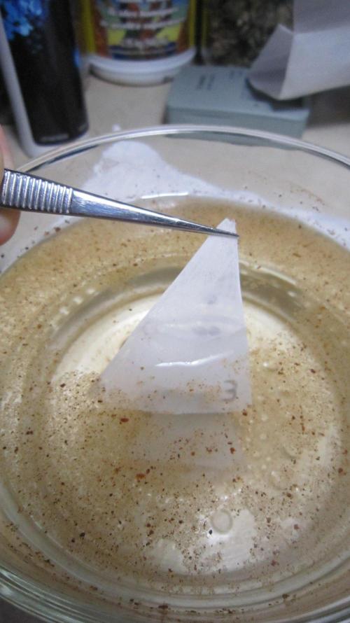 Kush Mints - Minty Flavor Hunt. Week 0 - RO ph adjusted water with some cinnamon and hydrogen peroxide in it.