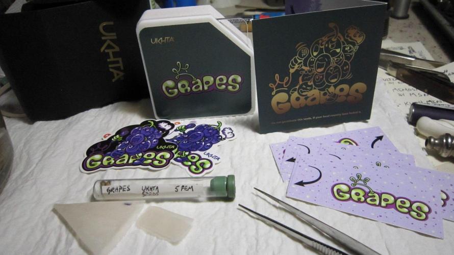 Grapes by UKHTA. Week 0 - Grapes Stickers