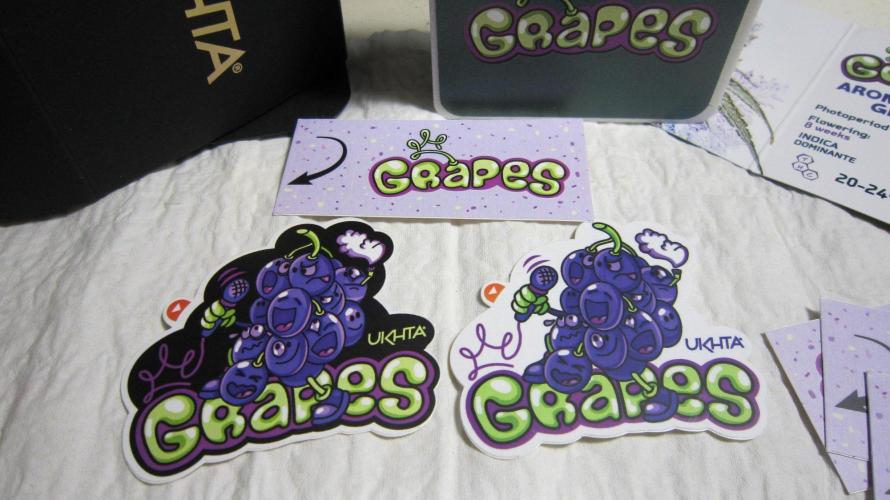 Grapes by UKHTA. Week 0 - Grapes