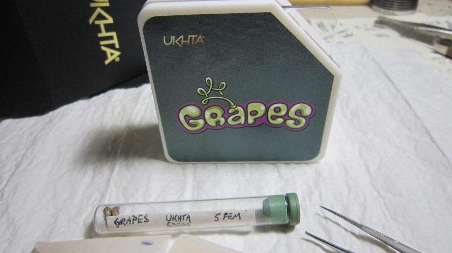 Grapes by UKHTA. Week 0 - Grapes.
