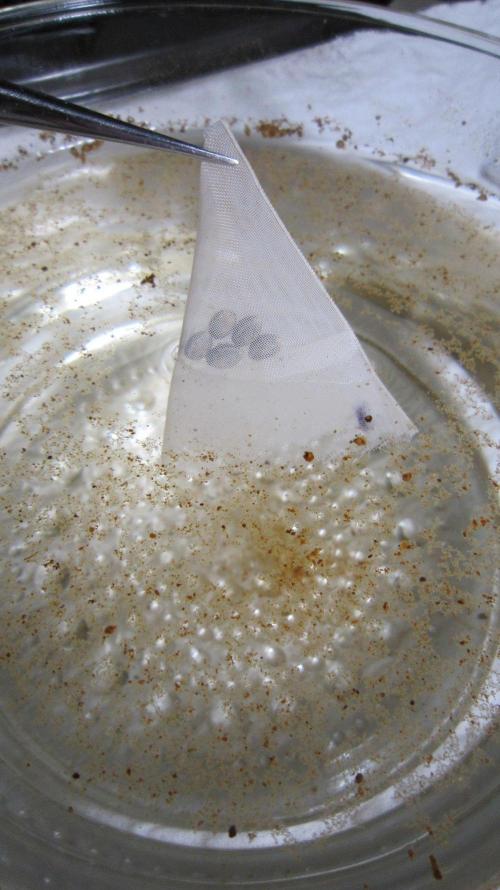 Grapes by UKHTA. Week 0 - Going into the RO water with cinnamon and hydrogen Peroxide.