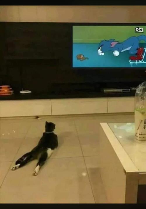 Grapes by UKHTA. Week 0 - Watching Tom and Jerry. Cheering for Tom!!!