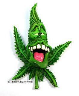 Gorilla Gelato - Ganja Seeds. Week 25 - The... Happy... and Relaxed... Strain...