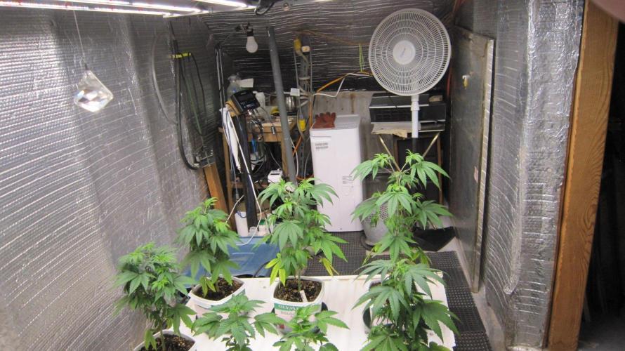 Grapes by UKHTA. Week 5 - Looking South - Fan,  Air Cleaner, Dehumidifier, PH Meter Hydroponics equipment