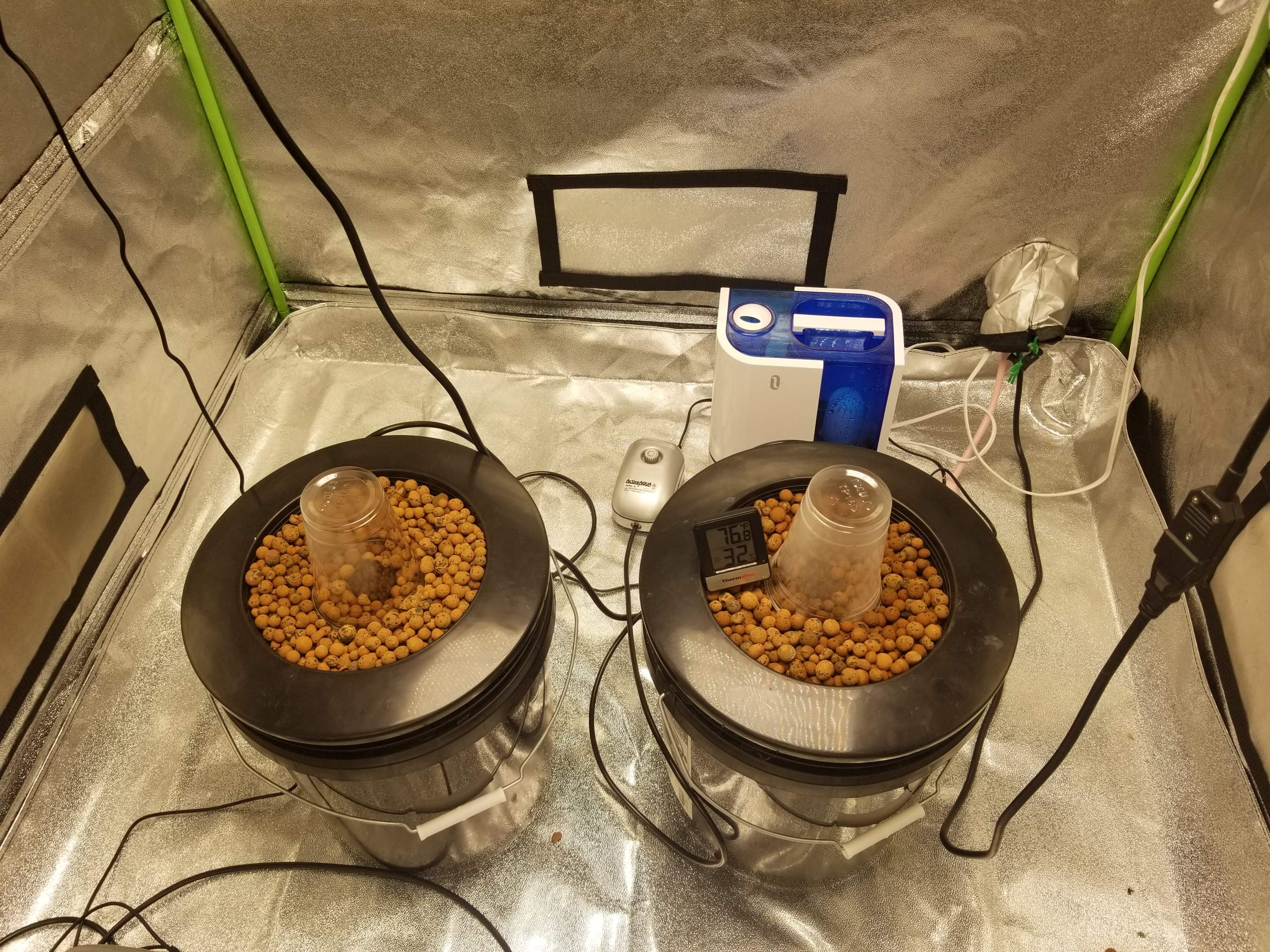 Ilgm Germination Guide - i549rvg