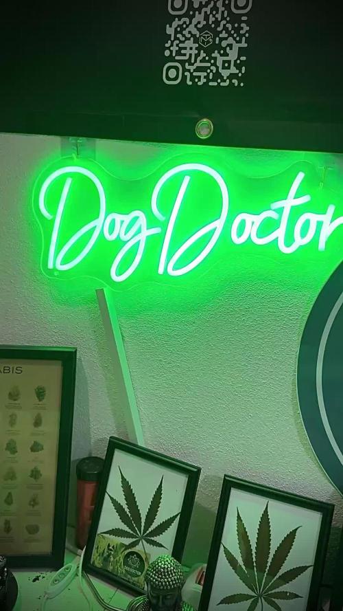 Terpyz Regular seeds & The Jorney with Mentha De Croco !