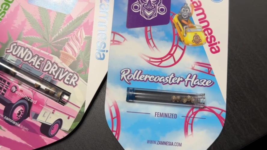 Spinning with Roller Coster Haze