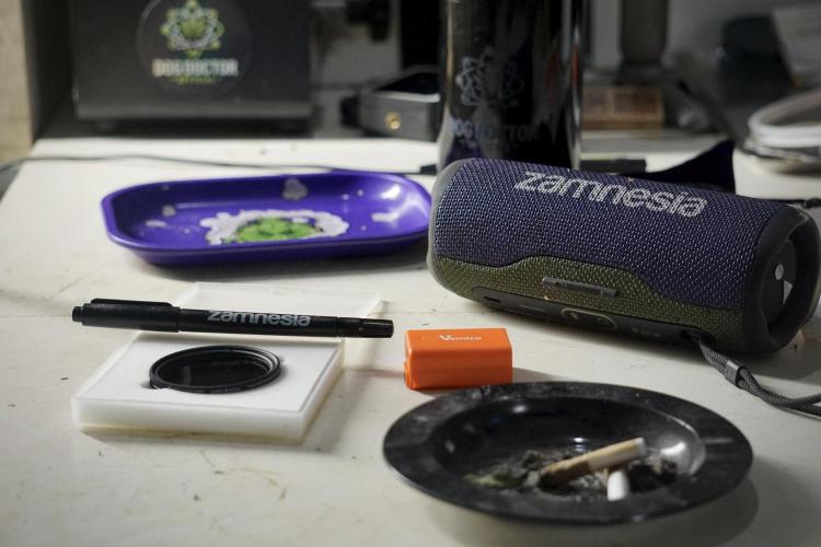 The Classic Super Silver Haze @Zamnesia. Week 12 - SSH #2