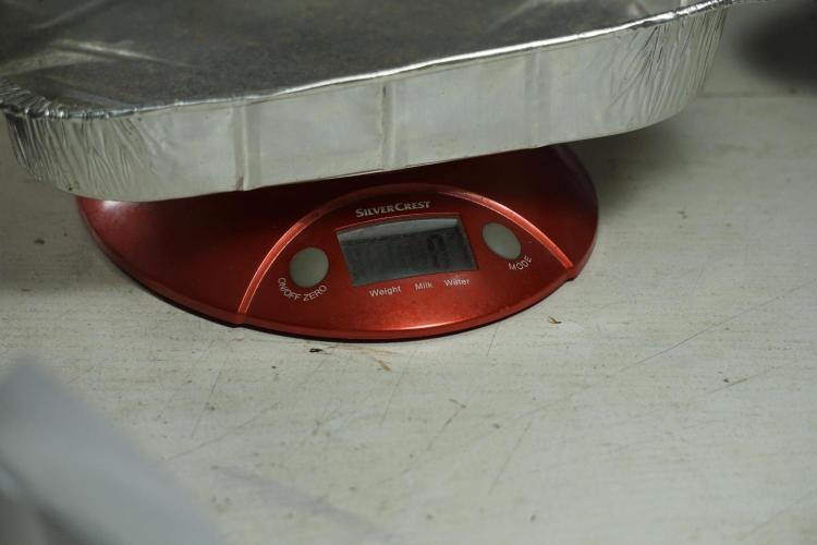 The Classic Super Silver Haze @Zamnesia. Week 12 - SSH #2