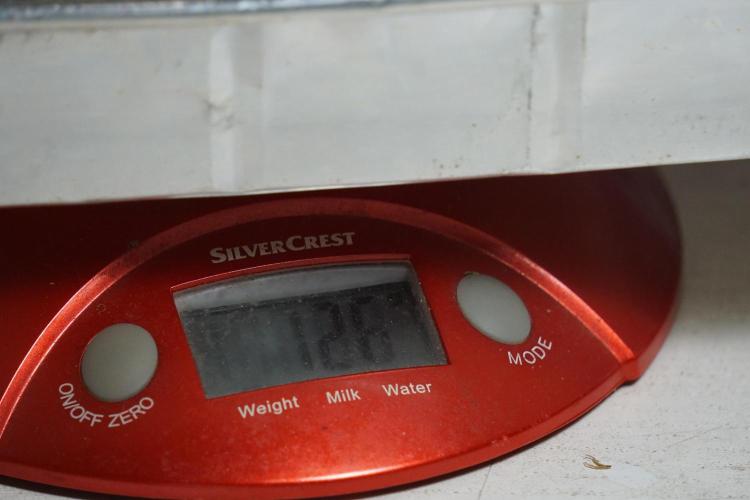 The Classic Super Silver Haze @Zamnesia. Week 12 - SSH #2