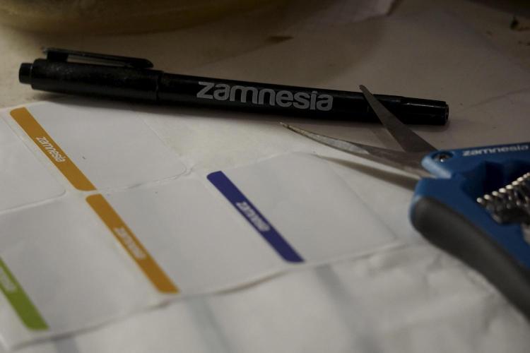 The Classic Super Silver Haze @Zamnesia. Week 12 - SSH #2