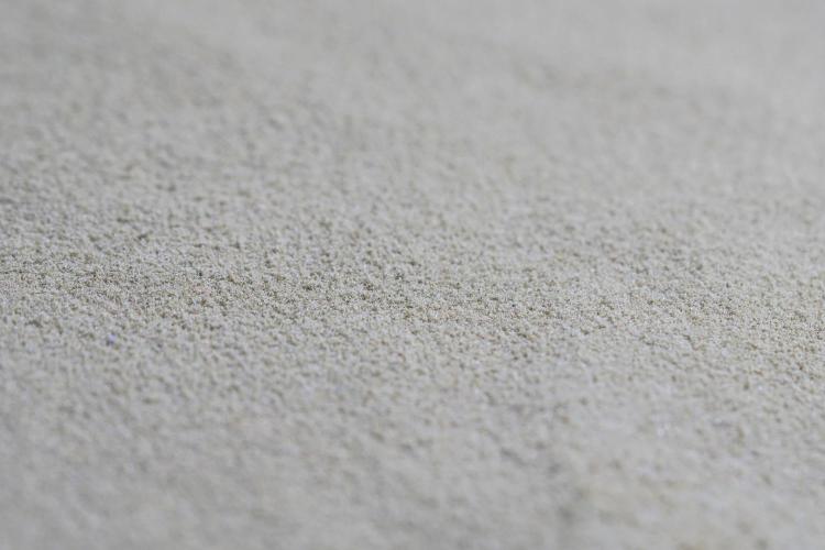 The Classic Super Silver Haze @Zamnesia. Week 12 - SSH #1