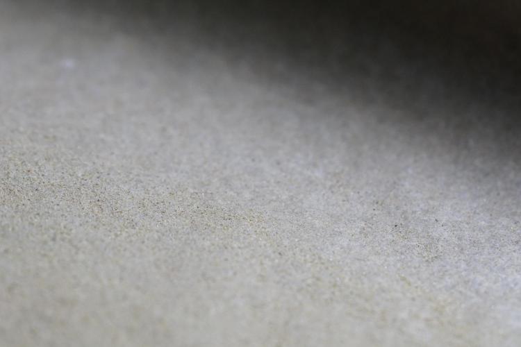 The Classic Super Silver Haze @Zamnesia. Week 12 - SSH #1