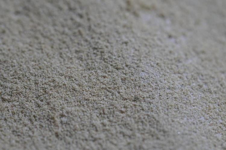 The Classic Super Silver Haze @Zamnesia. Week 12 - SSH #1