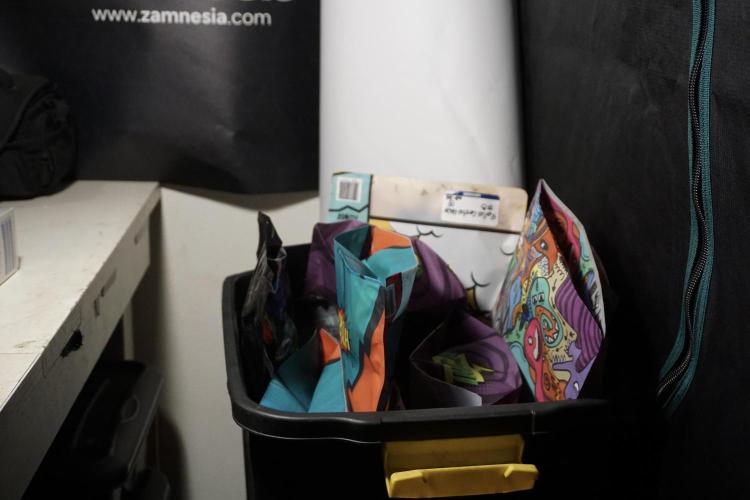 The Classic Super Silver Haze @Zamnesia. Week 12 - SSH #1