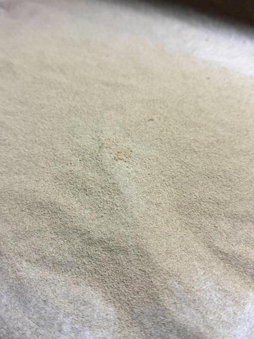 The Classic Super Silver Haze @Zamnesia. Week 12 - SSH #1