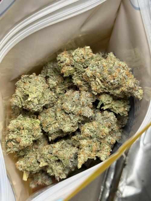 The Classic Super Silver Haze @Zamnesia. Week 11 - SSH #1 Harvest, dry, Trim and cure missing files 