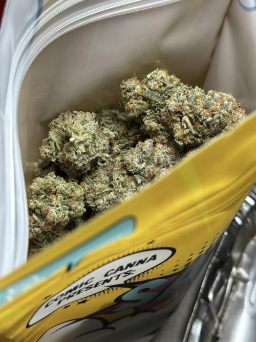 The Classic Super Silver Haze @Zamnesia. Week 11 - SSH #1 Harvest, dry, Trim and cure missing files 