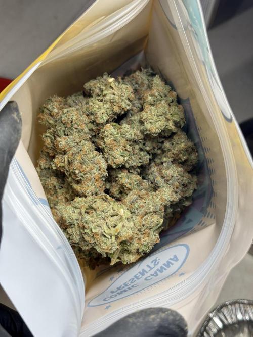 The Classic Super Silver Haze @Zamnesia. Week 11 - SSH #1 Harvest, dry, Trim and cure missing files 