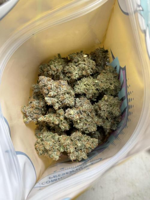 The Classic Super Silver Haze @Zamnesia. Week 11 - SSH #1 Harvest, dry, Trim and cure missing files 