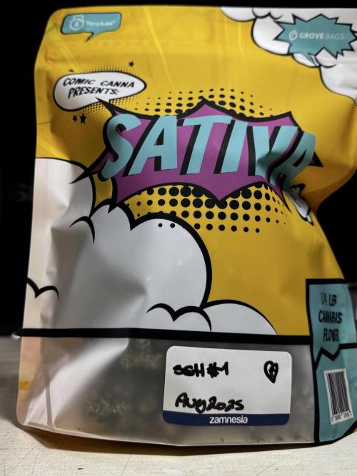 The Classic Super Silver Haze @Zamnesia. Week 11 - SSH #1 Harvest, dry, Trim and cure missing files 