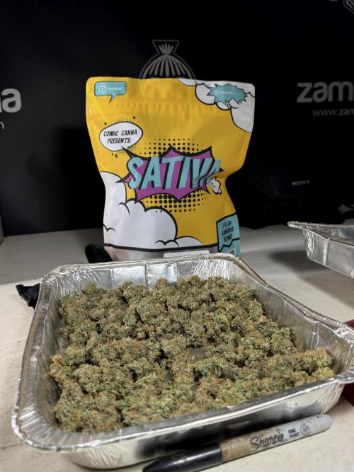 The Classic Super Silver Haze @Zamnesia. Week 11 - SSH #1 Harvest, dry, Trim and cure missing files 