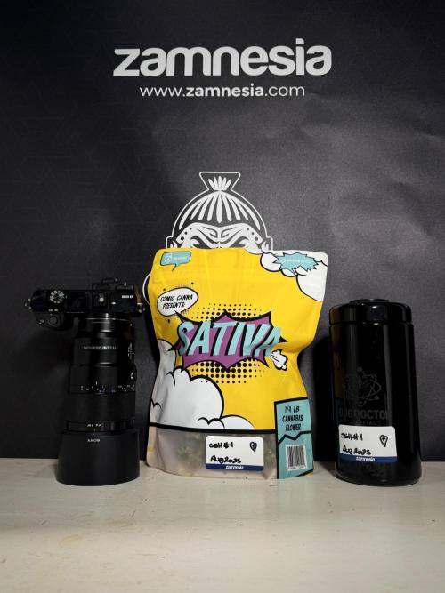 The Classic Super Silver Haze @Zamnesia. Week 11 - SSH #1 Harvest, dry, Trim and cure missing files 