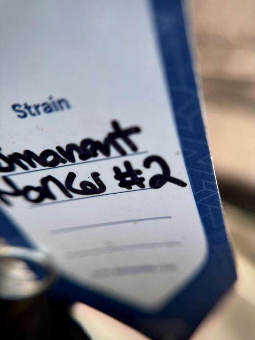 Dognabis 035 Permanent Marker (Zamnesia). Week 11 - Permanent Marker #2