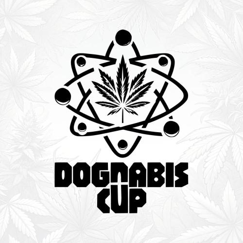 Dognabis 035 Permanent Marker (Zamnesia). Week 11 - the cup