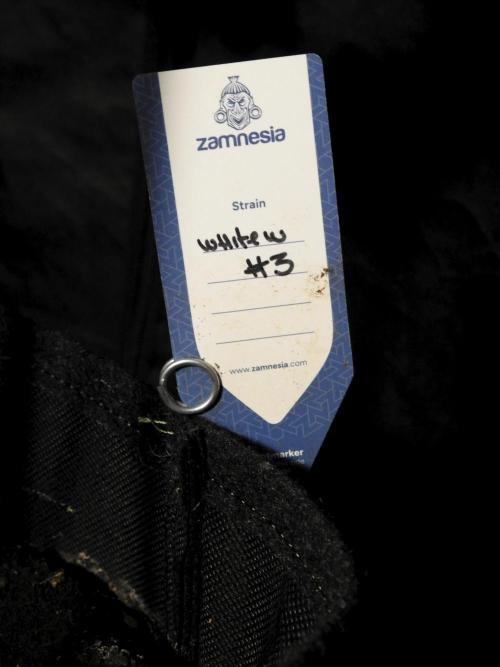 White Widow @Zamanesia-Playing classics. Week 12 - White Widow