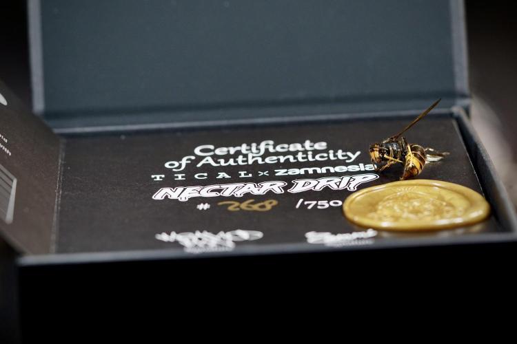 TicaL X Zamnesia-NectarDrip pack#268/750. Week 0 - The Beginning & packs 