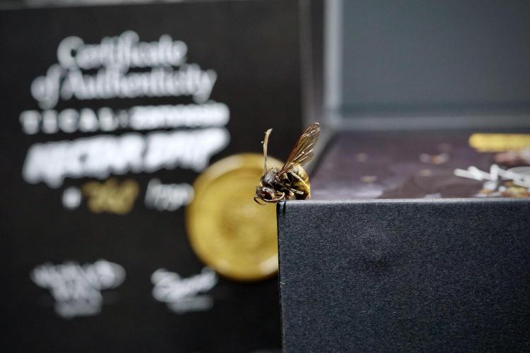 TicaL X Zamnesia-NectarDrip pack#268/750. Week 0 - The Beginning  & packs 