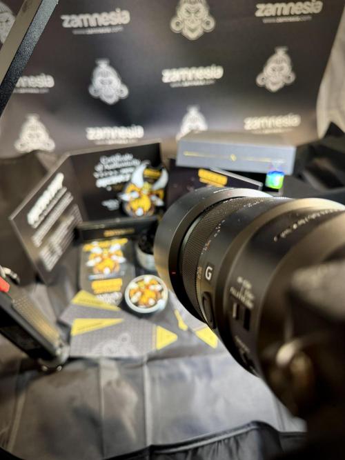 TicaL X Zamnesia-NectarDrip pack#268/750. Week 0 - The Beginning  & packs 