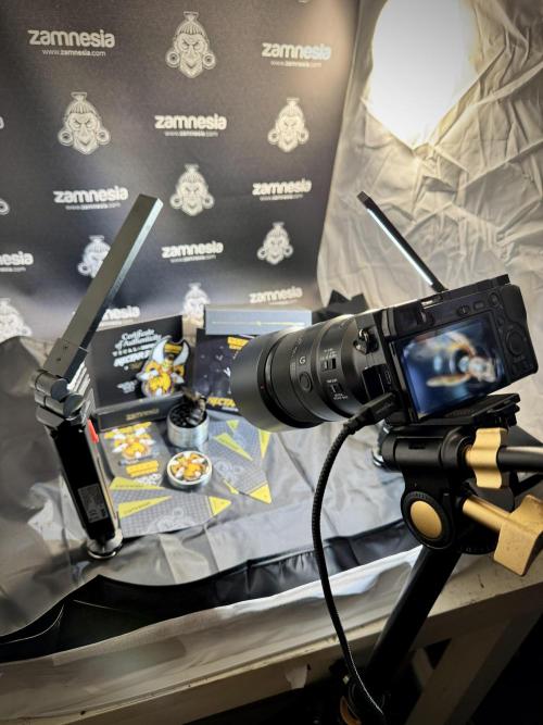 TicaL X Zamnesia-NectarDrip pack#268/750. Week 0 - The Beginning  & packs 