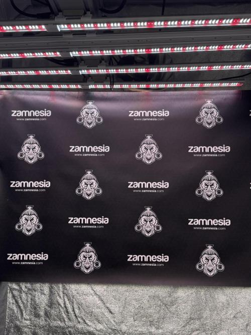 TicaL X Zamnesia-NectarDrip pack#268/750. Week 0 - The Beginning  & packs 