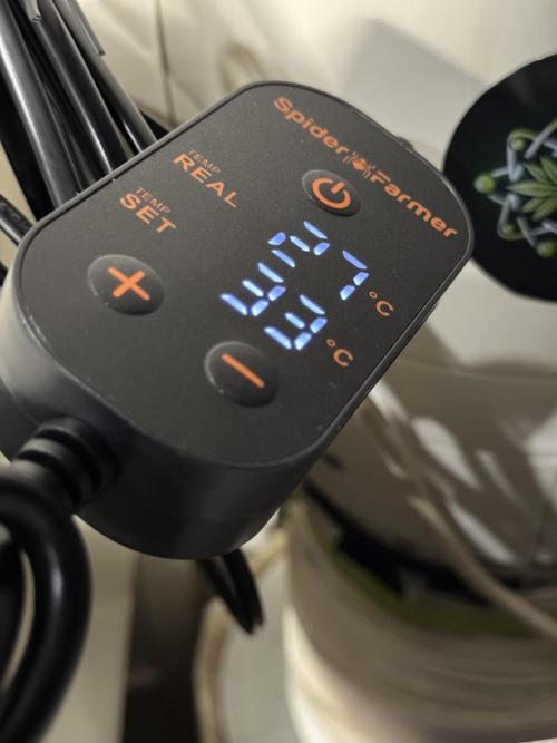 TicaL X Zamnesia-NectarDrip pack#268/750. Week 0 - Kan Temps