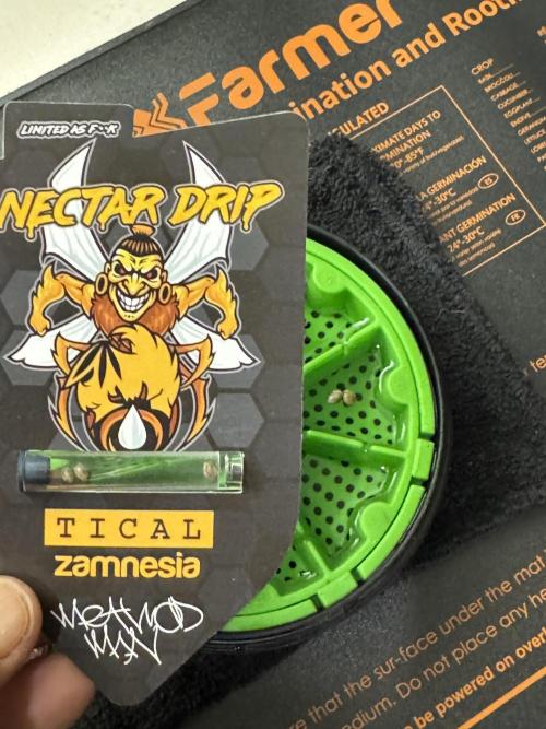 TicaL X Zamnesia-NectarDrip pack#268/750. Week 0 - Lets Do this