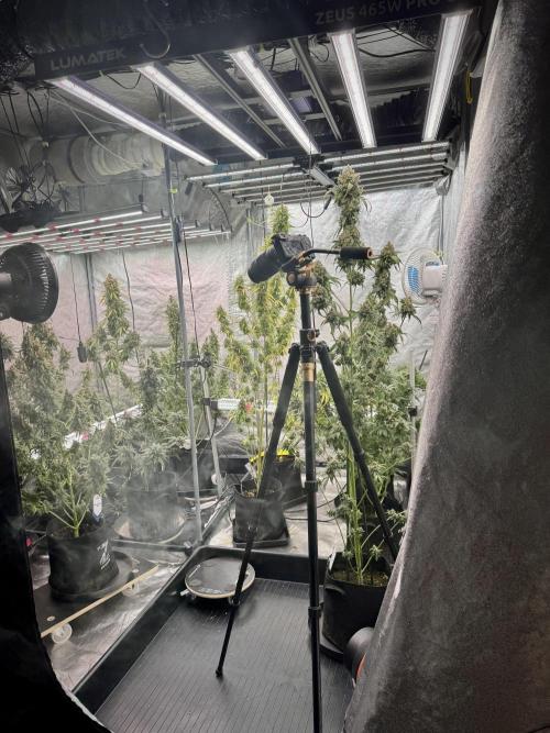 A Sudae Driver Mood. Week 13 - Photo updates 