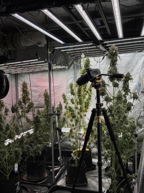 A Sudae Driver Mood. Week 13 - Photo updates 