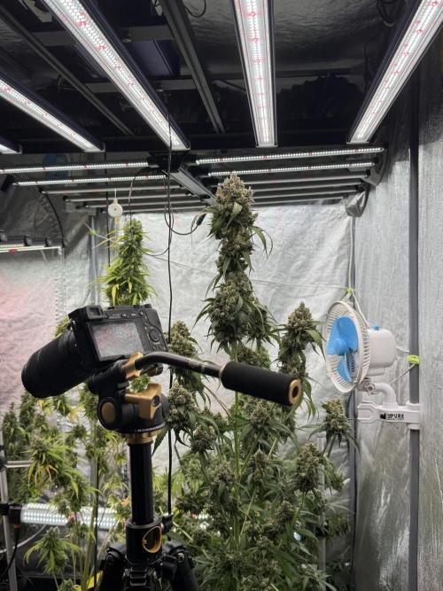 A Sudae Driver Mood. Week 13 - Photo updates 