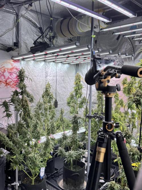 A Sudae Driver Mood. Week 13 - Photo updates 