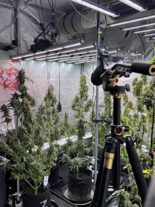 A Sudae Driver Mood. Week 13 - Photo updates 