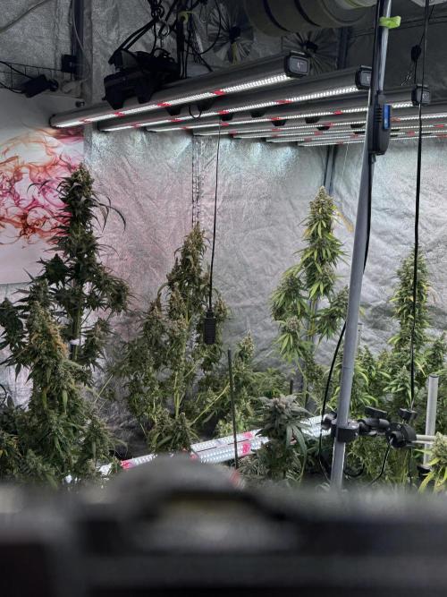 A Sudae Driver Mood. Week 13 - Photo updates 