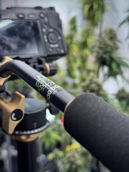 A Sudae Driver Mood. Week 13 - Photo updates 