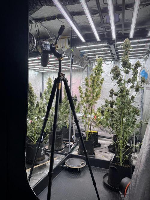 A Sudae Driver Mood. Week 13 - Photo updates 