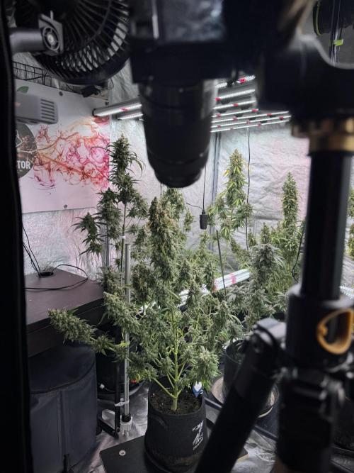 A Sudae Driver Mood. Week 13 - Photo updates 